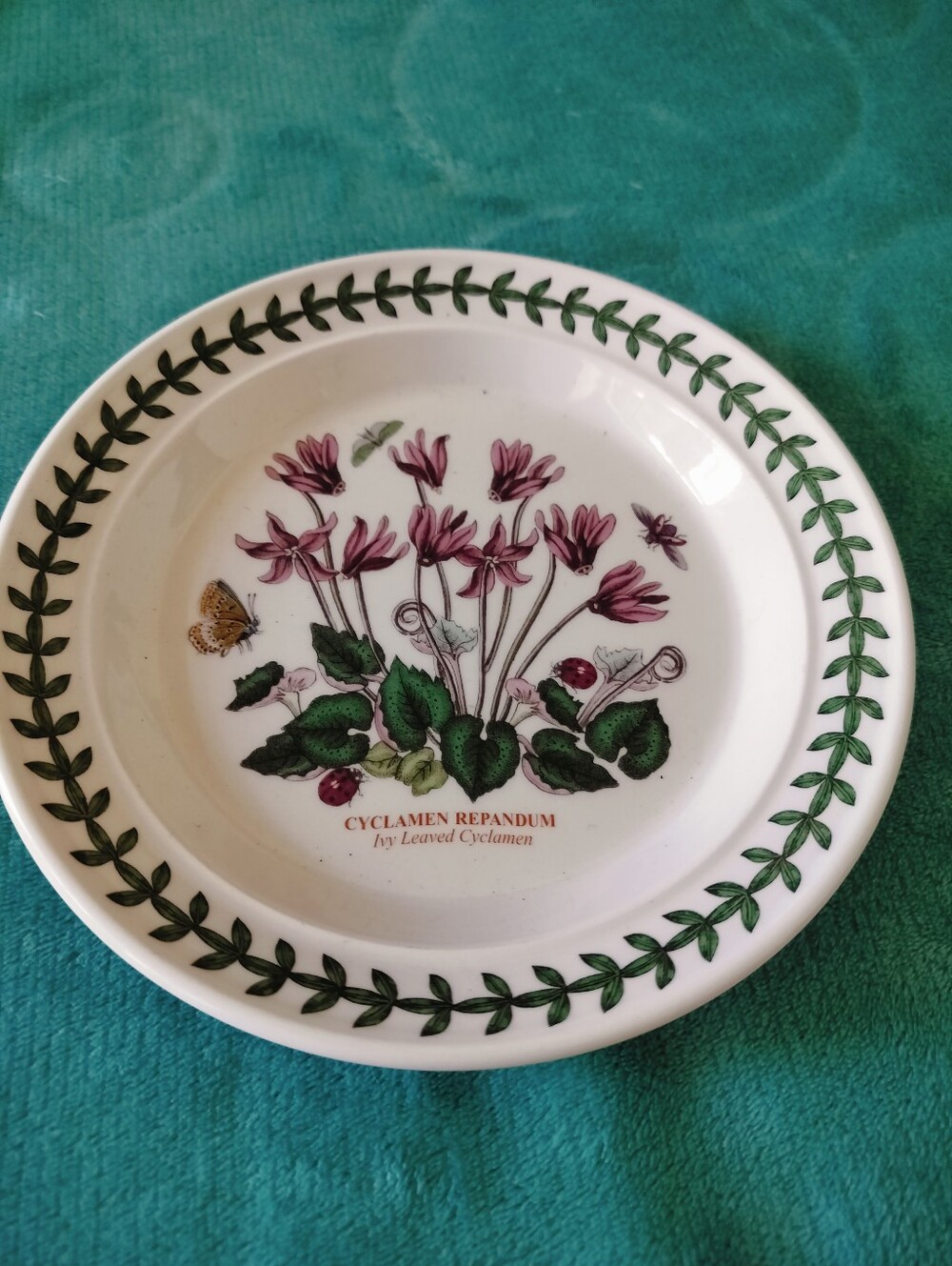 Vintage Portmeirion Botanic Garden Cyclamen Repandum Plate - Made in Britain